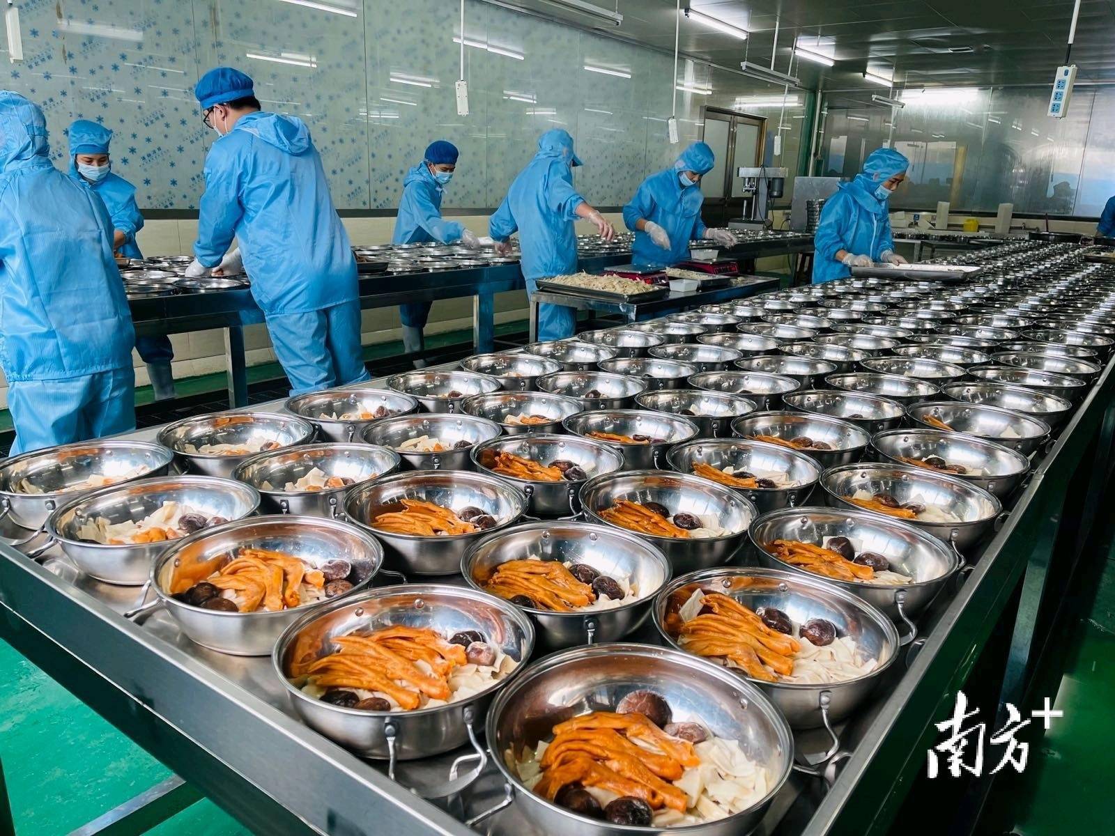 電白預制菜產業強勢崛起 躋身全國百強基地，水產品預制菜開發超200品種