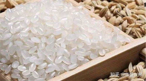 食品生產許可證注銷全流程指南