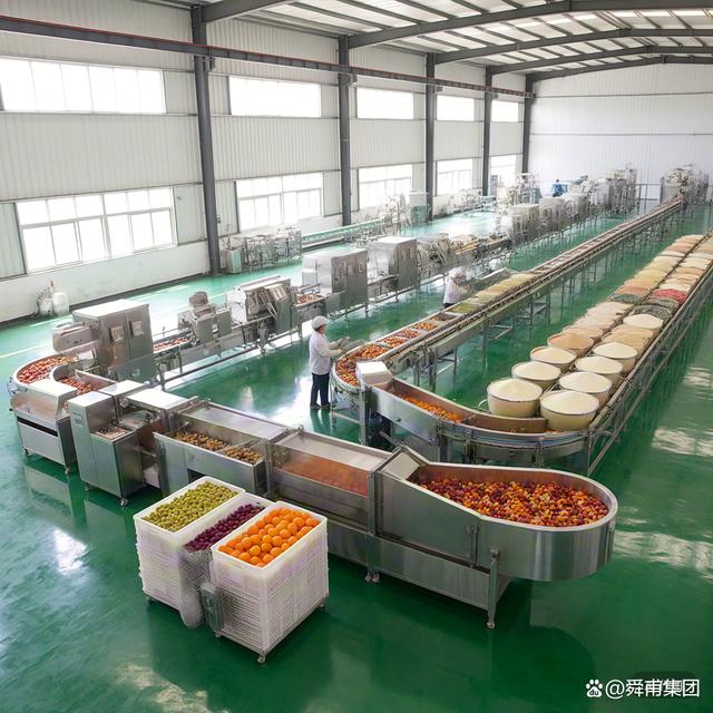 果蔬粉加工生產線 現代食品工業的高效解決方案